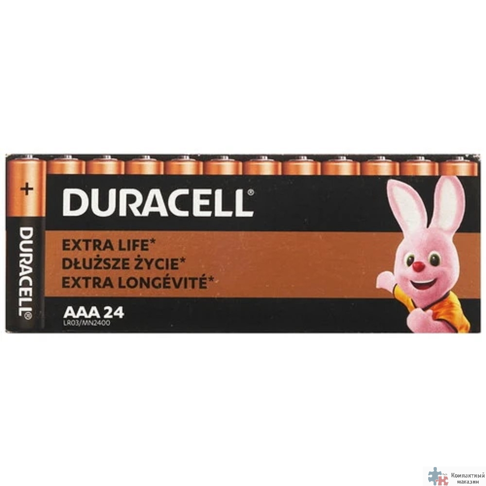 DURACELL LR03-24BL BASIC AAA (MN2400) (24 шт. в уп-ке)